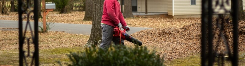 Laubbläser online kaufen | Effektive Gartenreinigung