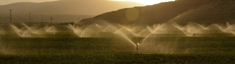 Sprinklersysteme für Deinen Garten – Effiziente Bewässerung