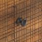 Preview: 8719883810843_g_en_hd_1.jpg