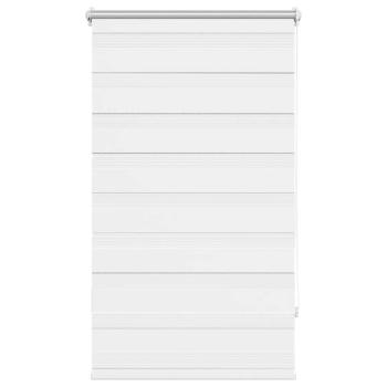 Preview: 240206_2.jpg