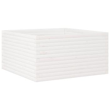 Preview: 3282425_2.jpg