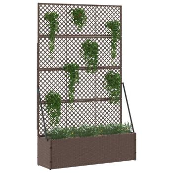 Preview: 366620_3.jpg