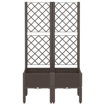 Preview: 367925_3.jpg