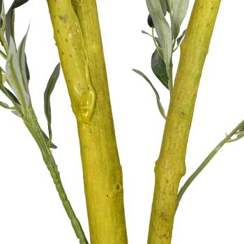 Preview: 4103570_4.jpg