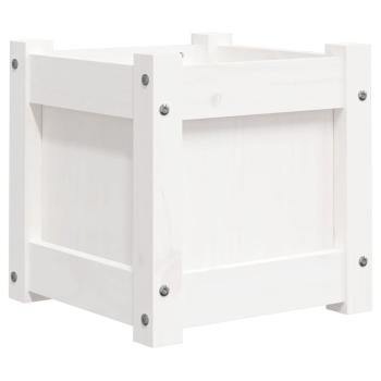 Preview: 837396_2.jpg