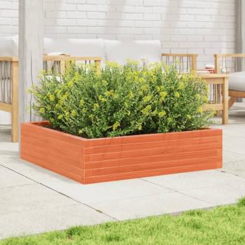 Preview: 847205_3.jpg