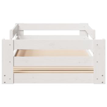 Preview: 855685_4.jpg