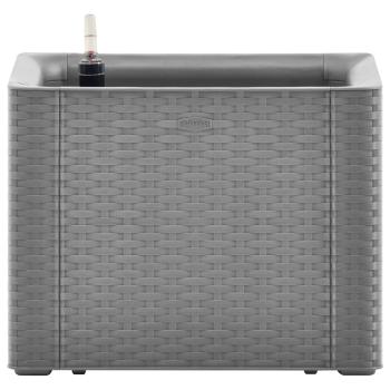 Preview: 8720286817360_g_en_hd_1.jpg