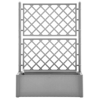 Preview: 8720286817391_g_en_hd_2.jpg