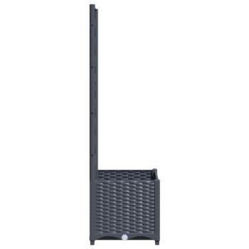 8720286875971_g_en_hd_3.jpg