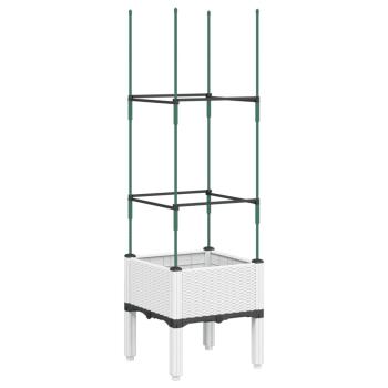 Preview: 8721012411562_a_en_hd_1.jpg