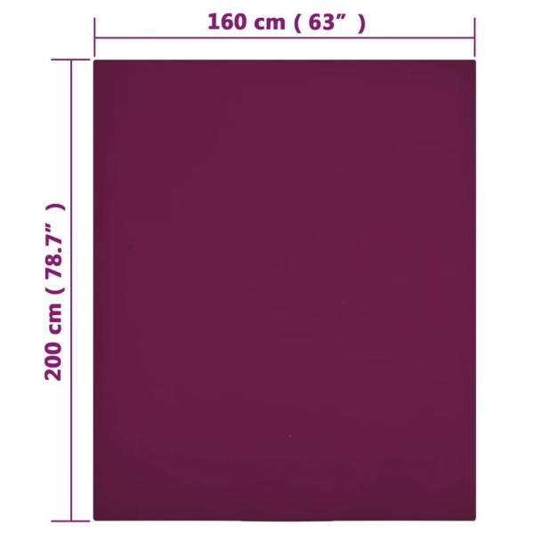 136256_4.jpg